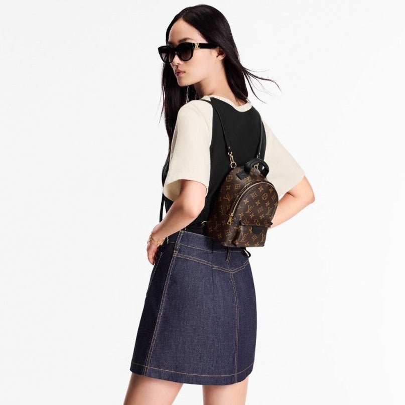 Louis Vuitton Monogram Palm Springs Backpack Mini 3