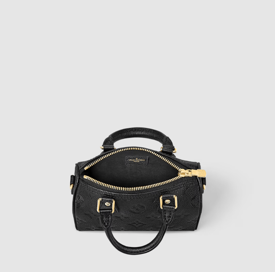 LV Nano Speedy Bag 6