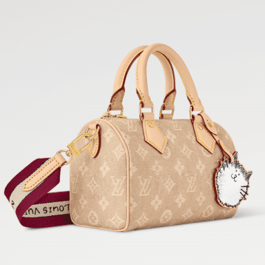 Louis Vuitton Speedy Bandouliere 20 2