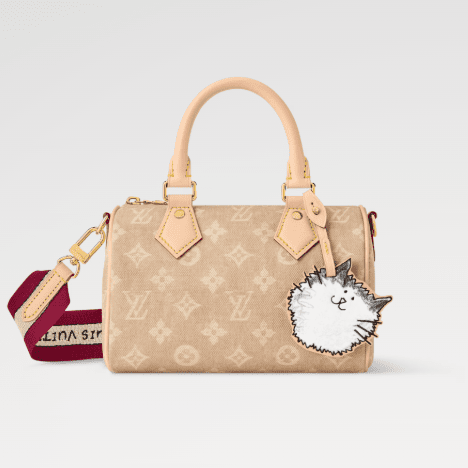 Louis Vuitton Speedy Bandouliere 20 - BEAUTY BAR