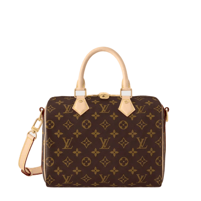 Louis Vuitton Speedy Leather Satchel