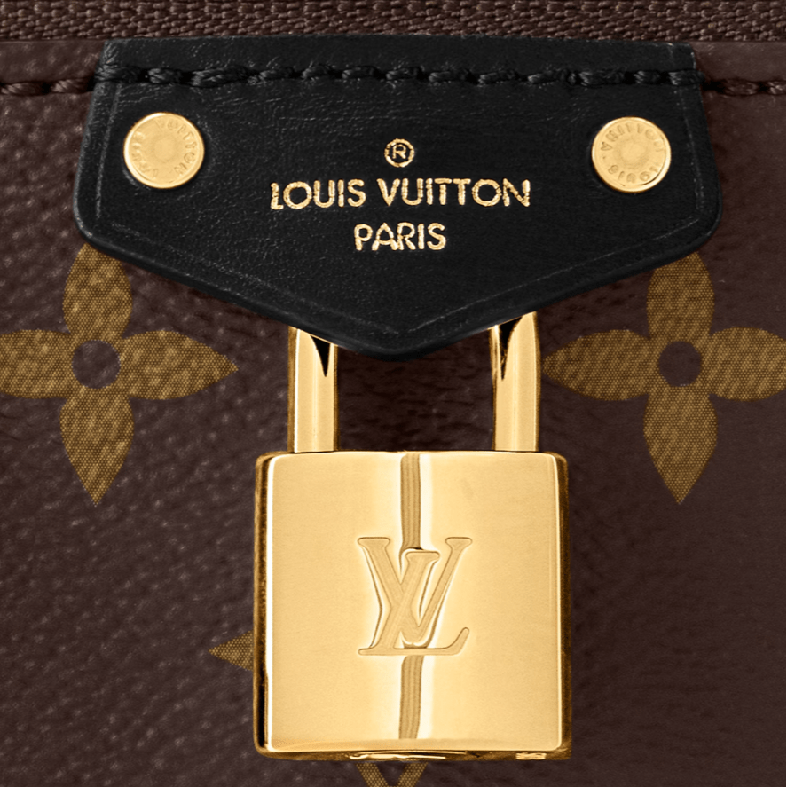 LV Vanity Chain Pouch 4