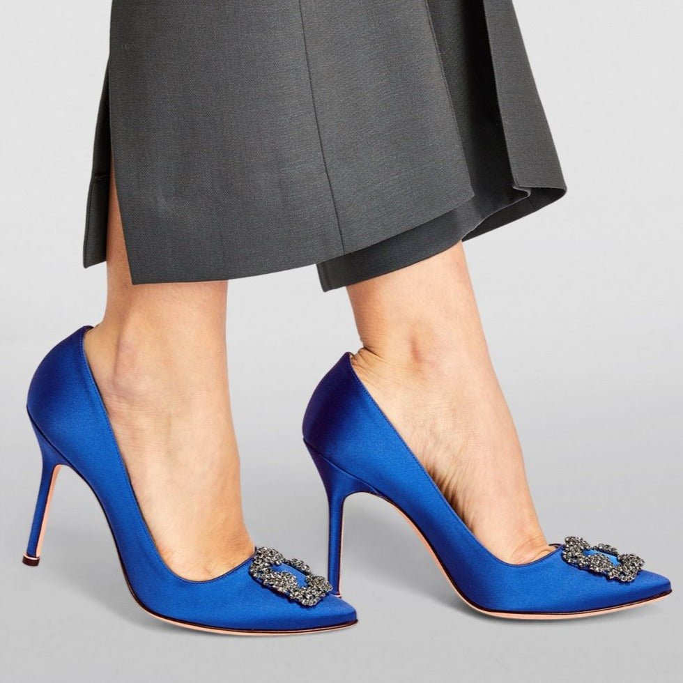 Manolo Blahnik Hangisi Pumps 3