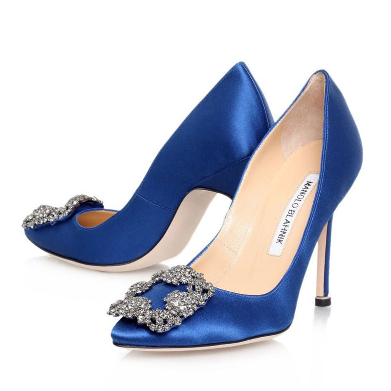 Manolo Blahnik Hangisi Pumps 2