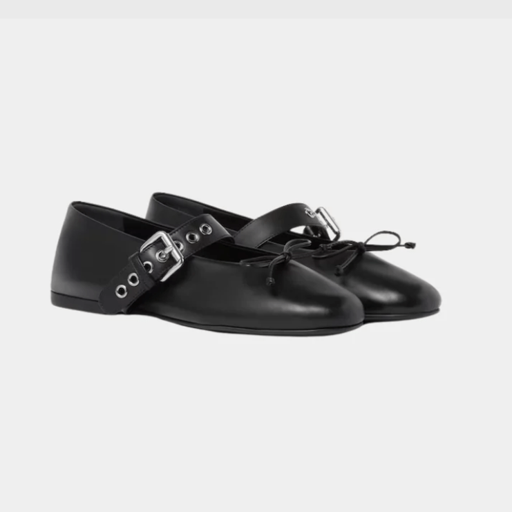 Miu Miu Leather Ballerina Shoes