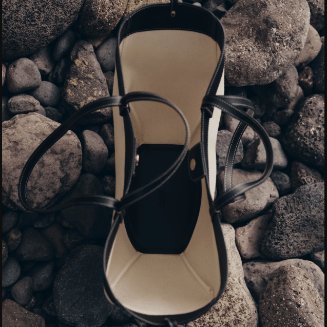 Polène Cyme Edition Black Canvas 7