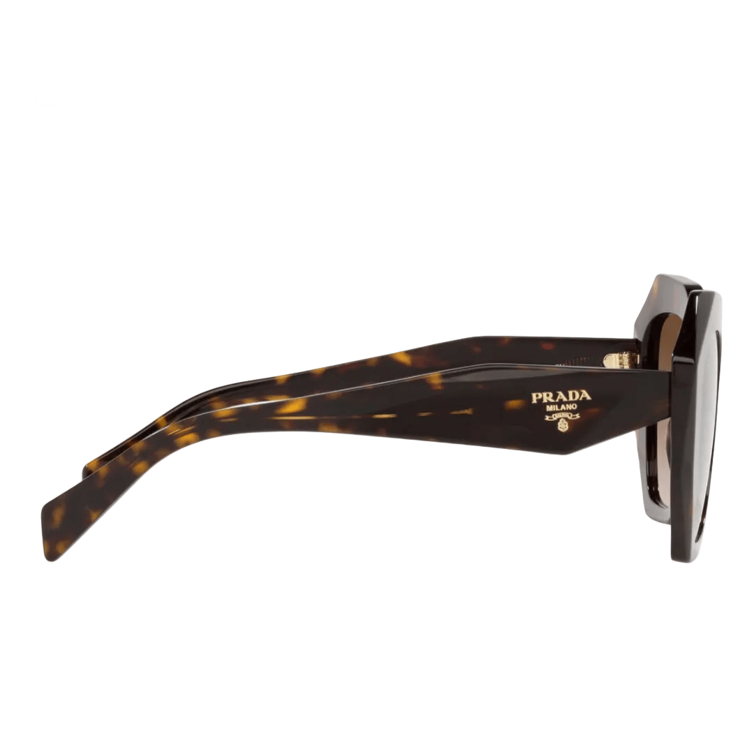 Prada Sunglasses Tortoise / Brown Gradient 4