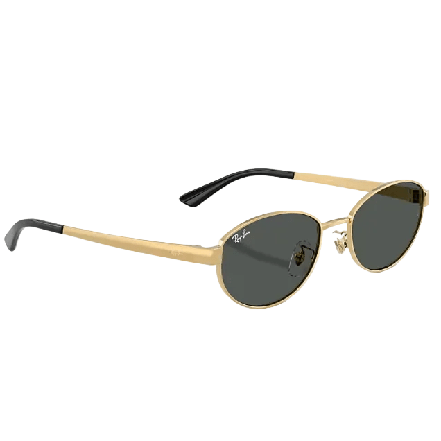 Ray-Ban Sunglasses Oval Polished Arista Gold Metal 4