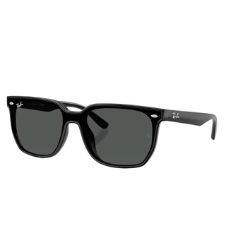 Ray-Ban Sunglasses Polished Black