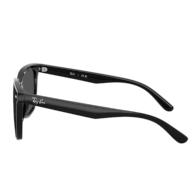 Ray-Ban Sunglasses Polished Black 3
