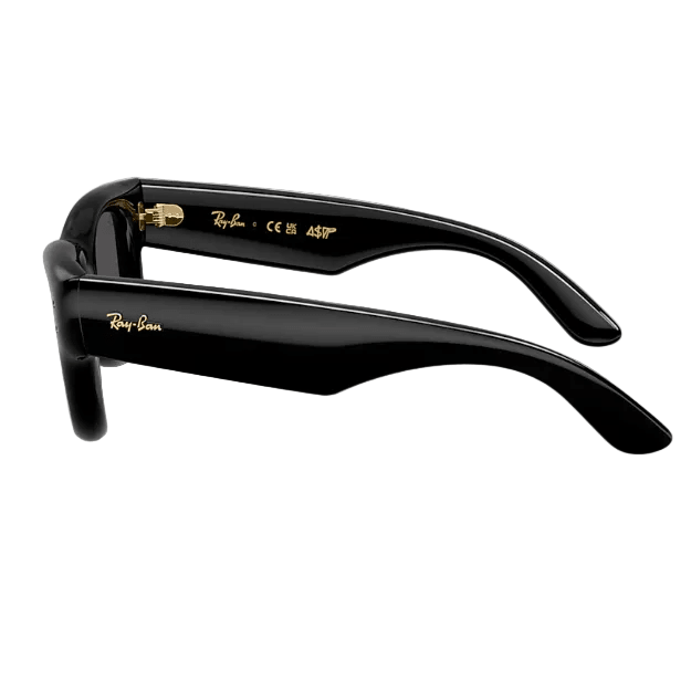 Ray-Ban Sunglasses Wayfarer Puffer Polished Black 4