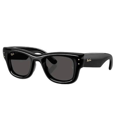 Ray-Ban Sunglasses Wayfarer Puffer Polished Black