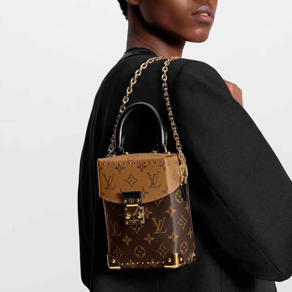 Louis Vuitton Camera Box Monogram Reverse 4