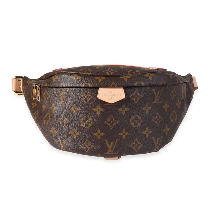 LV Canvas Belt Bag 1