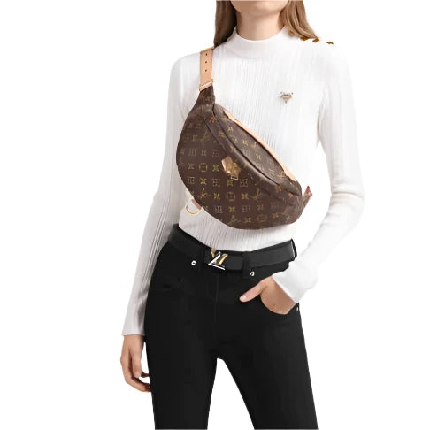 LV Canvas Belt Bag 2