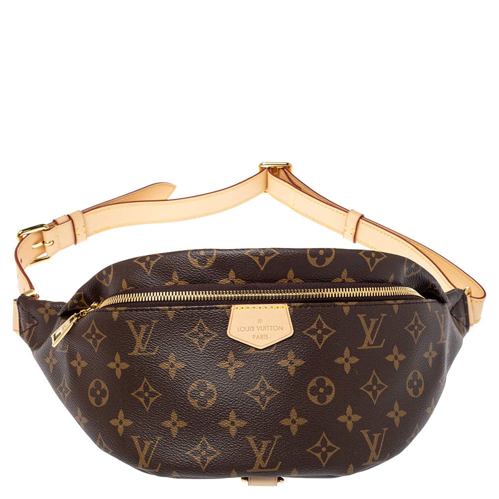 LV Canvas Belt Bag 3